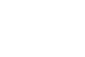 Logo2